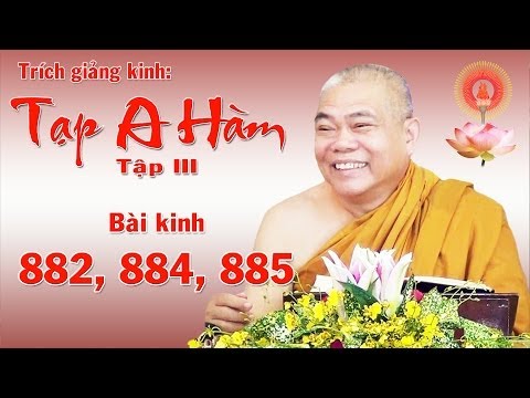 Kinh Tạp A-hàm 882-884-885