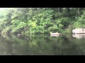 Topwater Frog Fishing Topwater Frog Fishing