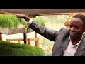 Un agriculteur