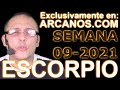 Video Horscopo Semanal ESCORPIO  del 21 al 27 Febrero 2021 (Semana 2021-09) (Lectura del Tarot)