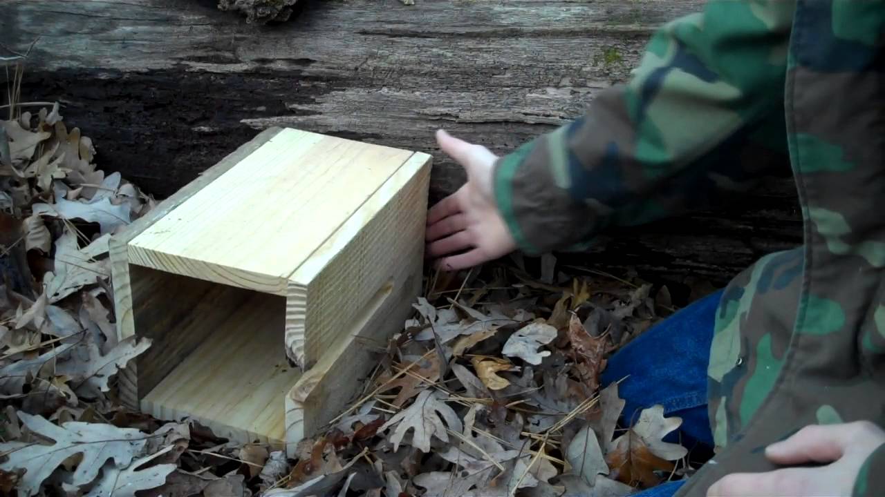 Conibear Box Set - Conibear Trapping Part 7 - YouTube