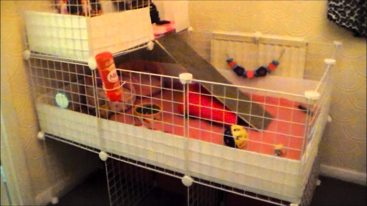 How i built Guinea Pig 2x3 C&C cage with stand and loft - YouTube