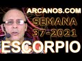 Video Horscopo Semanal ESCORPIO  del 5 al 11 Septiembre 2021 (Semana 2021-37) (Lectura del Tarot)