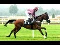 Victoire d'Amour à Fontainebeau dans le Prix Pierre Debroise