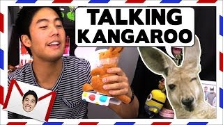 Talking Kangaroo! (Teehee Time)