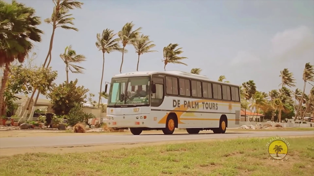 De palm tours aruba coupons