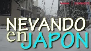 Esta Nevando en TOKIO! JAPON [By JAPANISTIC]