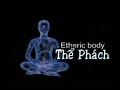 NGỒI THIỀN - DHYANA - SUY TƯ THÂM SÂU TRONG TRẠNG THÁI YÊN TỊNH TUYỆT DỐI