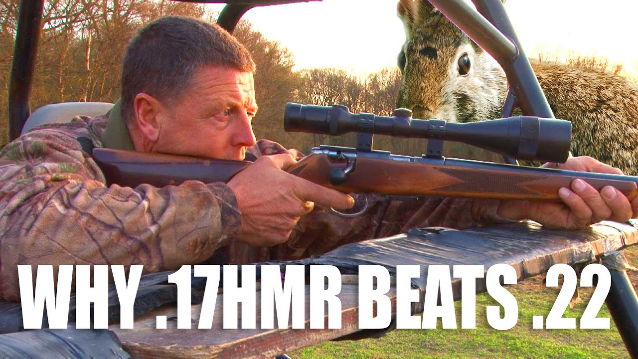 Best 17 Hmr Rifle For The Money.