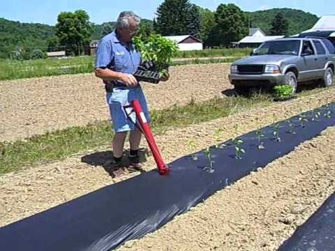 HAND HELD TRANSPLANTER.wmv - YouTube