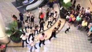 Propuesta Matrimonio Nini- flashmob en Gran Plaza Mérida Yu