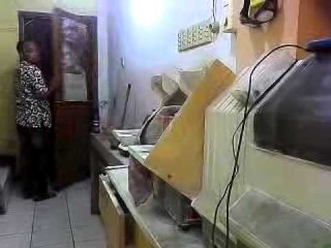 ngentot - YouTube