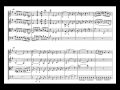 Mozart - Eine Kleine Nachtmusik KV 525 4th mv.t - Piano Transcription [tbpt22]