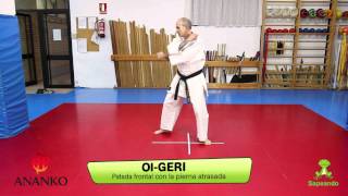Técnicas de pierna 1 - Karate-do 