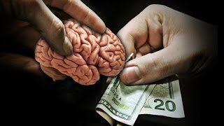 Brains Sold on Ebay!