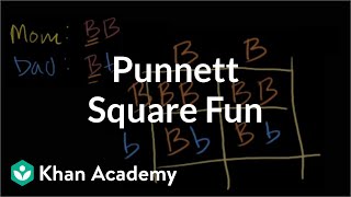 Punnett Square Multiple Alleles Examples