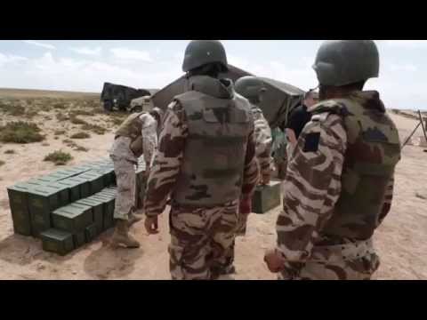 جنود الأسد الإفريقي بشاطىء اشتوكة ايت باها.
