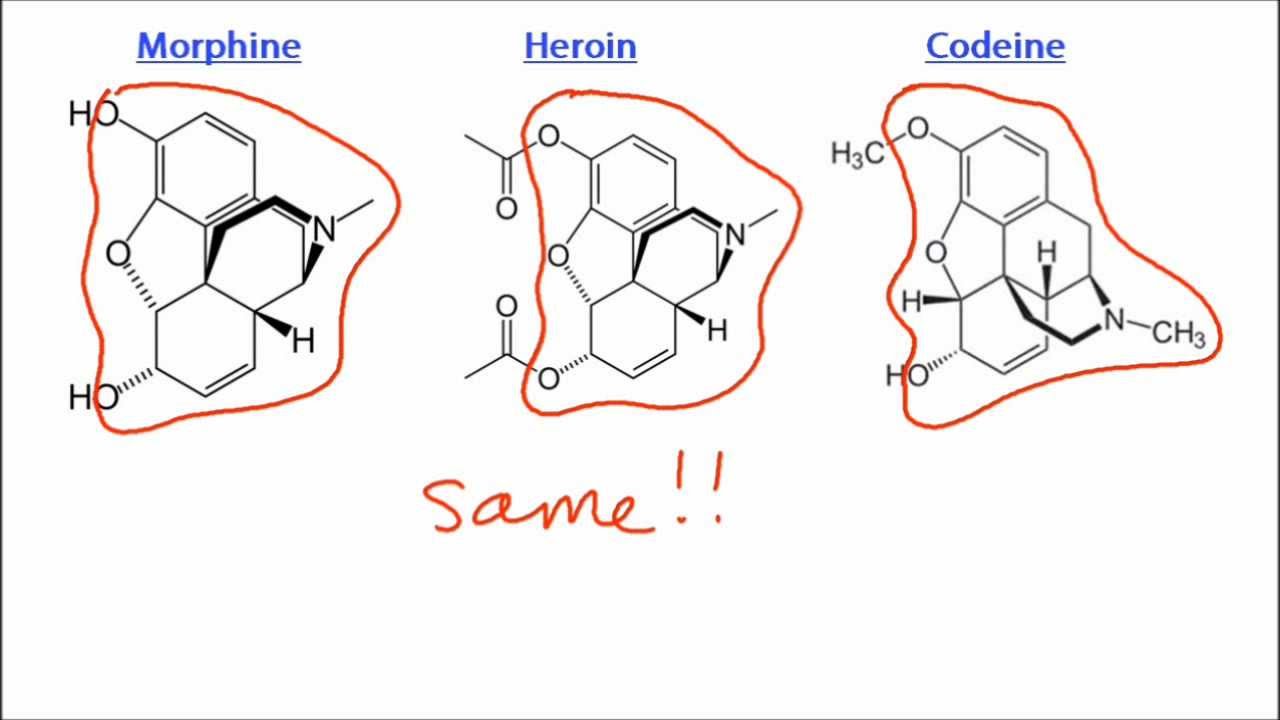 D.3.3 Compare the structures of morphine, codeine and diamorphine