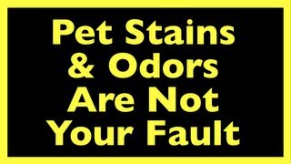 Ex-Carpet Cleaner Comes Clean About Pet Stain & Odor Removal