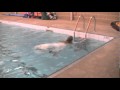 Bride in the pool wetlook fun part 02