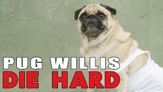 Die Hard With Pugs