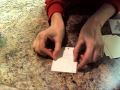 miniature