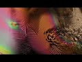 The xx - Chained