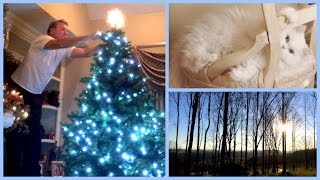 Vlogmas 2013 ❄ Day 15 The Best Tree Decorator in the World...