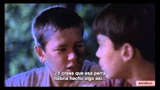 AlanDooz Quotes - Stand by me - 3