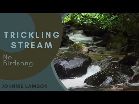 Download Nature Meditation for Insomnia and Relaxing by Johnnie Lawson-Nature Sounds-8hr. W/O Birdsong