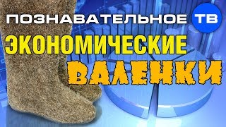 Экономические валенки (Познавательное ТВ, Валентин Катасонов)