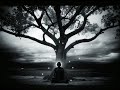 Peter Davison - Tree (Adagio - Music for Meditation)