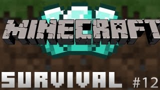 Minecraft: Survival #12: 'Minen!!'