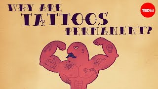 What makes tattoos permanent? - Claudia Aguirre