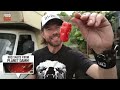 The Ultimate BBQ Pork Ribs | DJ BBQ