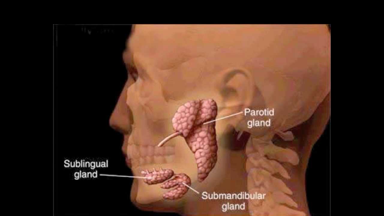 parotitis and salivary gland infections - YouTube