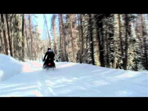 State Forest State Park - Located in Walden and boasts miles of snowmobile and x-country ski trails.