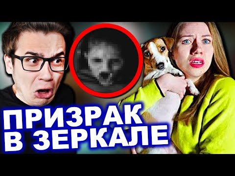 щенки ловят призрака щенки ловят призрака