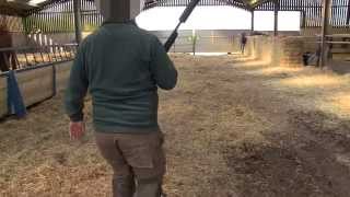 TB Free England: Cattle shot at David Barton's farm