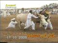 JHAMRA SHARIF CHAKWAL JALSA ON MELA 2009 AT ARAA BY MANI HAKAM PART 3.MPG