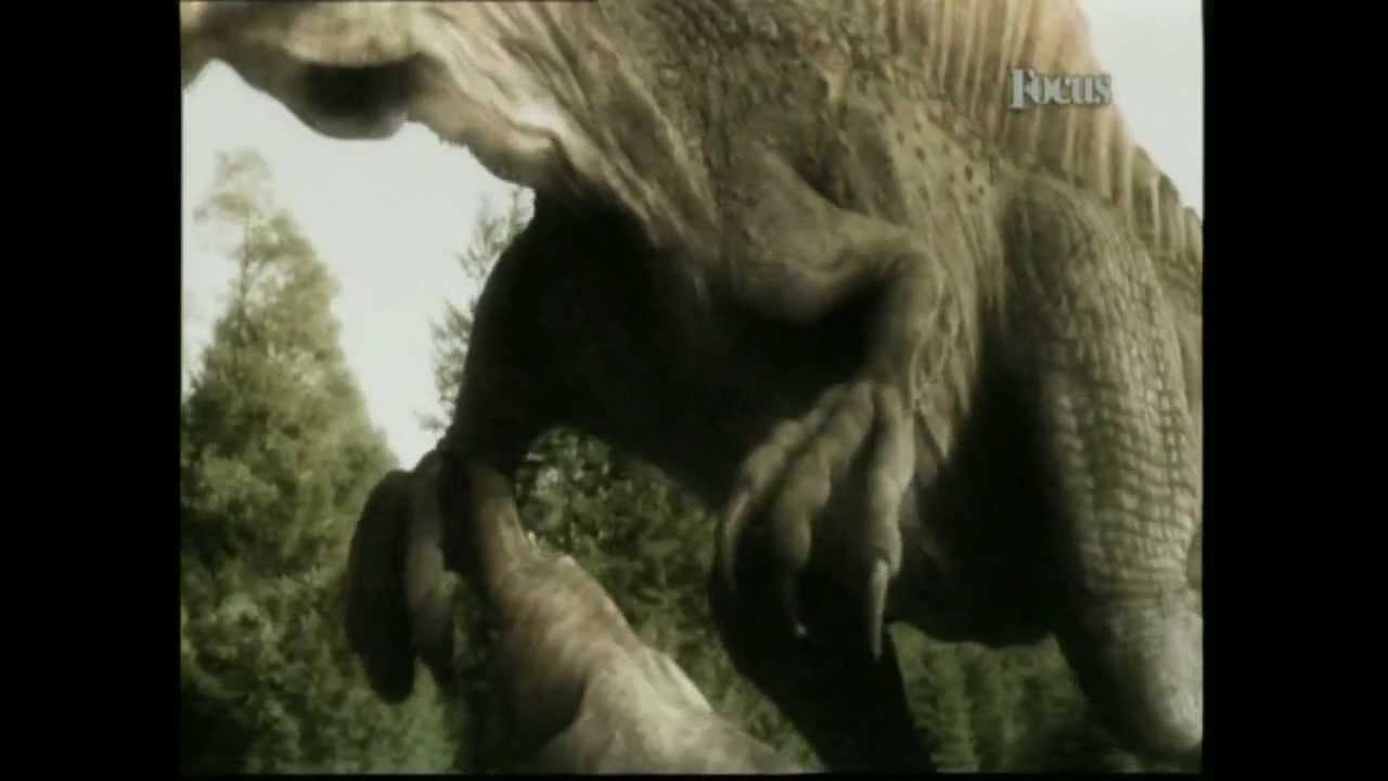 Dinosauri Da Colorare E Da Stampare