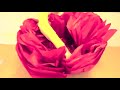 3 - How To Make GIANT Tissue Paper Flowers