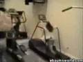 Collection Of Hilarious Clips - Youtube