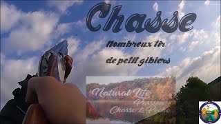 chasse sous marine en languedoc aout 2014 . YouTube