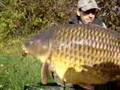 Carpe commune de 21kg