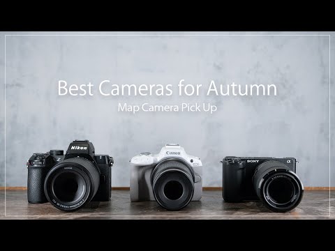 秋の行楽シーズンにぴったりのカメラ選びと写りのコツ サムネイル