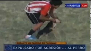 Futbolista Ataca a Un Perro y Es Expulsado Del Partido En Argentina    Brutal Agresión