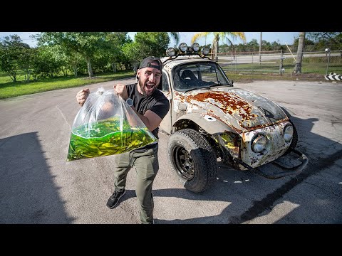 Transporting SHINERS In "NEW" Off-Road Baja BUGG!! (Hilarious)