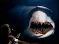Great White Shark Accident ★★★★★