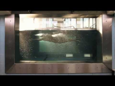 Arena Carbon-Pro Explained - Technical Specifications Arena Carbon-Pro Explained - Technical Specifications
